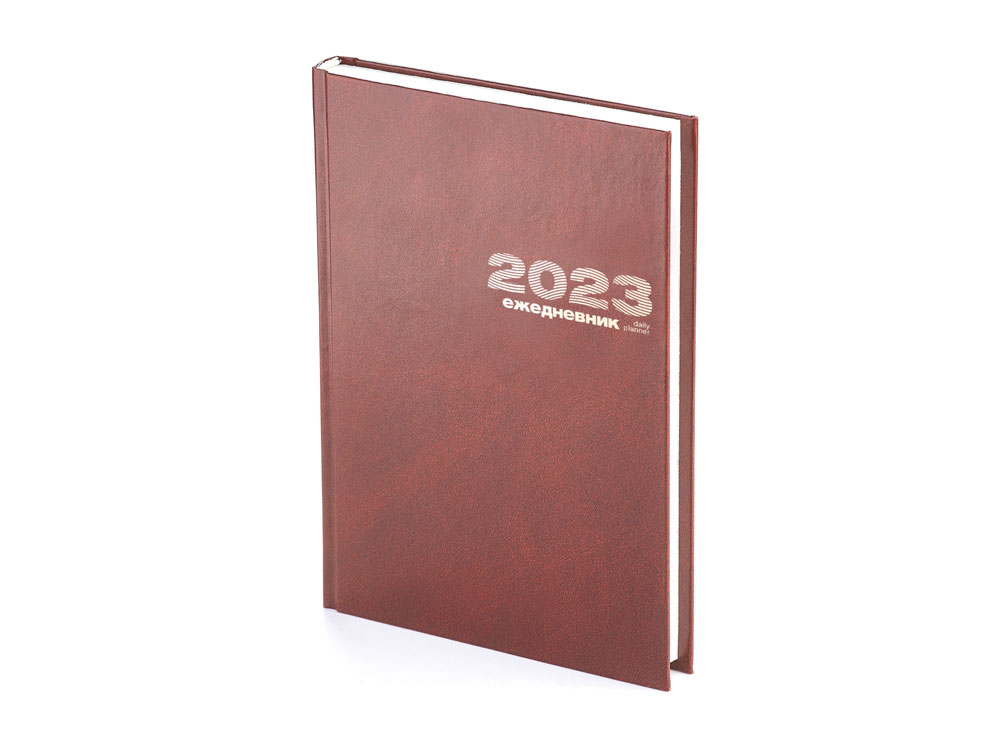 Ежедневник А5 датированный Бумвинил на 2023 год с логотипом Альт | Print Logo