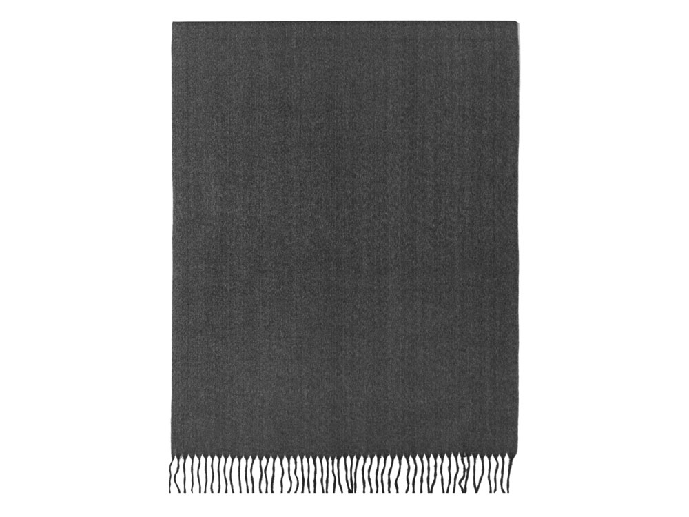 Палантин Алней с логотипом US Basic | Print Logo