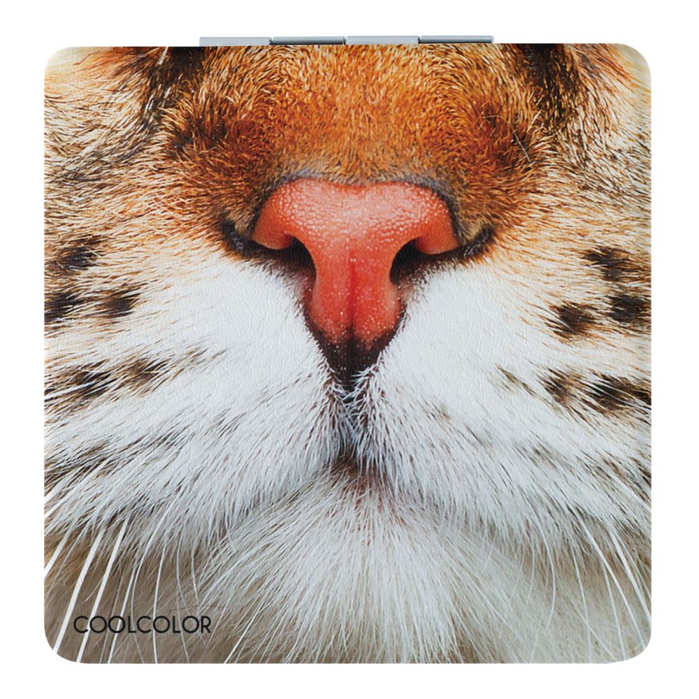 Зеркало «Кис-Kiss» с логотипом CoolColor | Print Logo