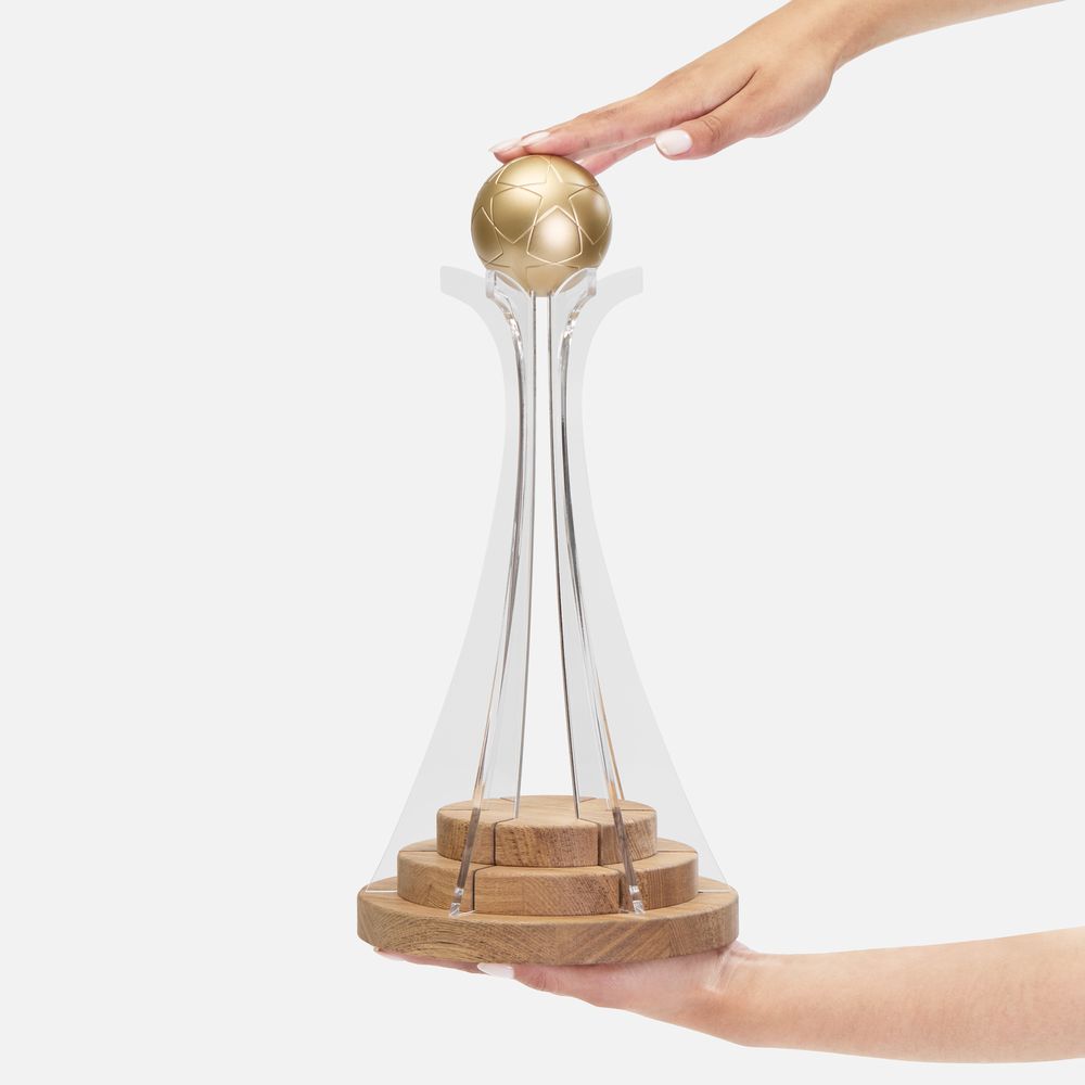 Кубок Everball c 3D-элементами — пример нанесения логотипа () | Print Logo