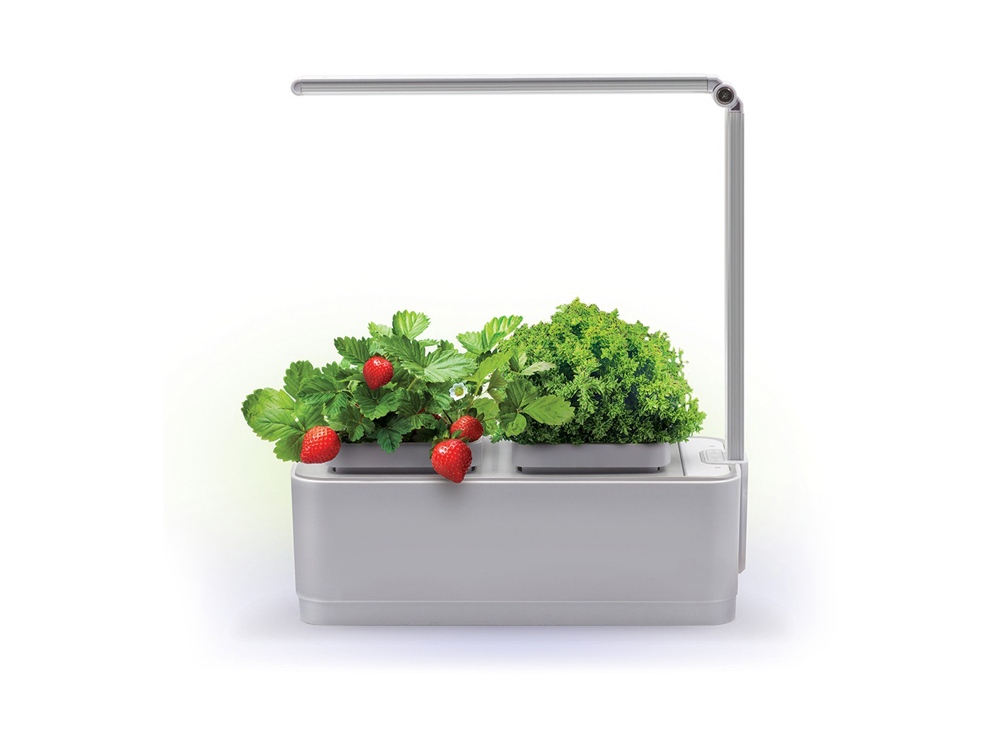Компактный смарт-сад iGarden LED с подсветкой с логотипом Назад к истокам | Print Logo