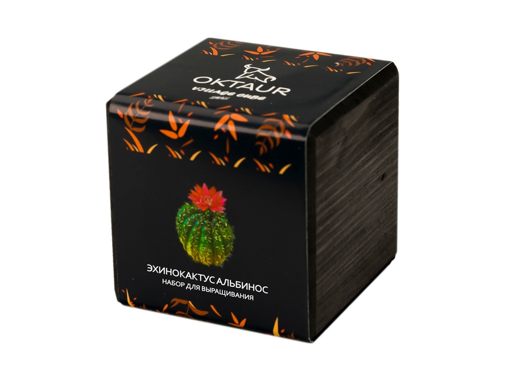 Набор для выращивания Small village cube Эхинокактус Альбинос с логотипом OKTAUR | Print Logo