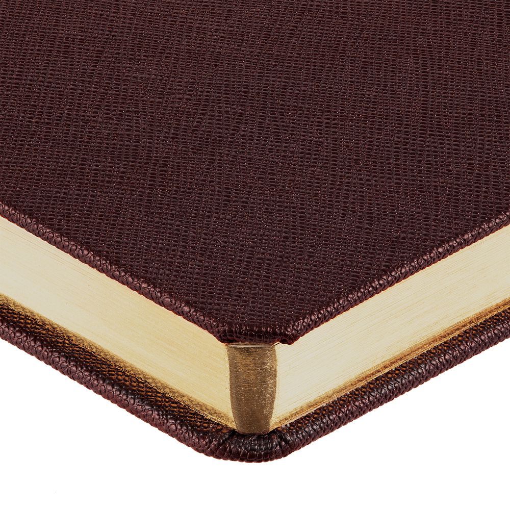 Ежедневник Saffian, недатированный