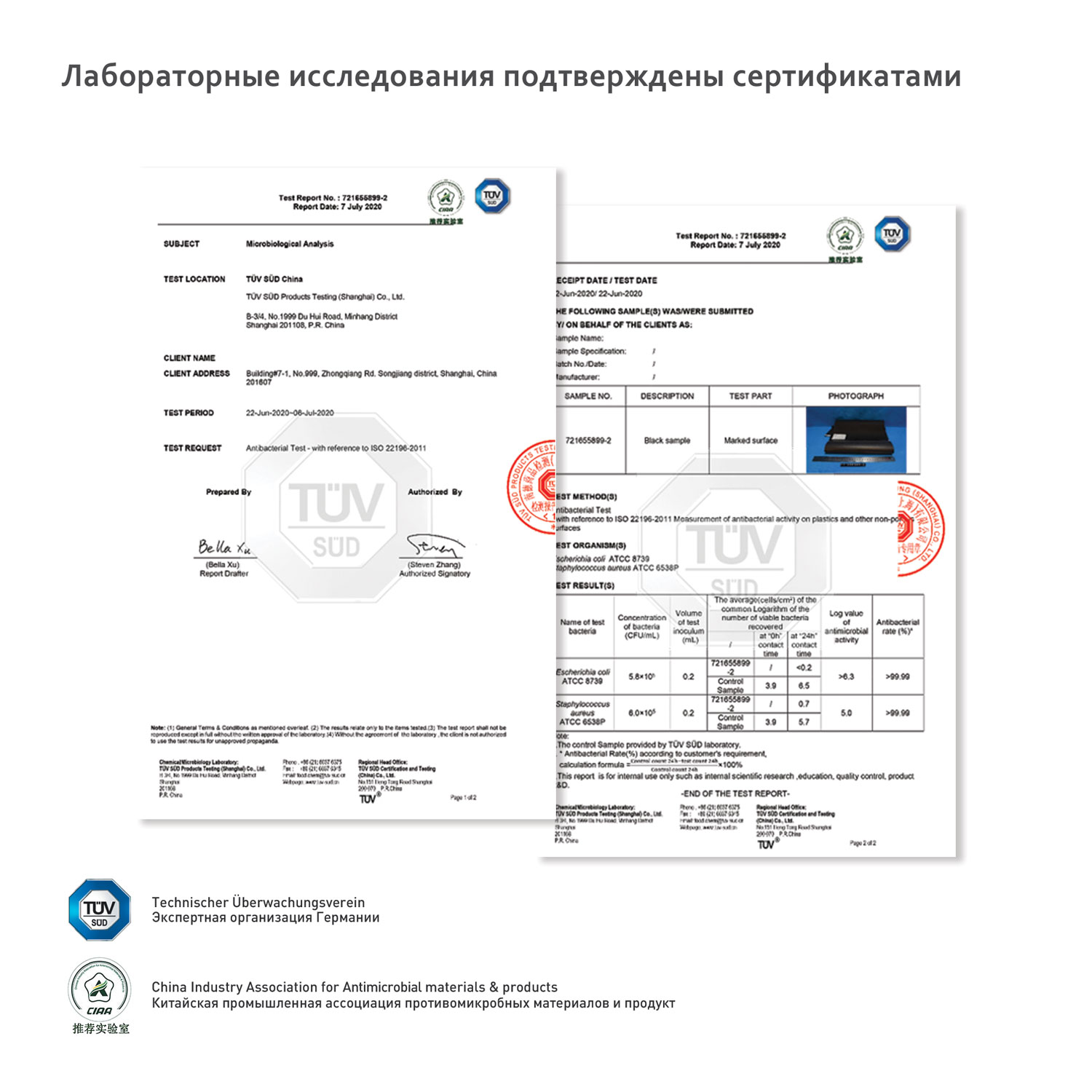 Ежедневник Latte Ecoline недатированный с антибактериальным покрытием, зеленый