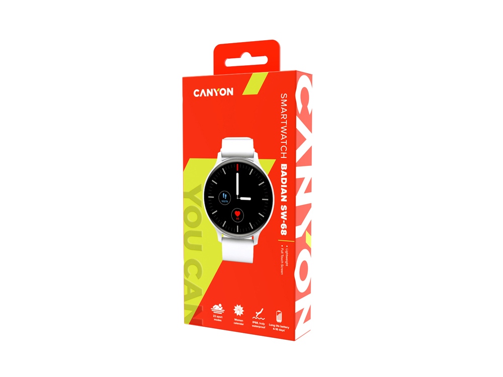 Смарт-часы Canyon SW-68  Badian, IP68, серебряный (Р)